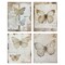 Stupell Industries Neutral Vintage Butterflies 4pc Canvas Wall Art Set Design by RileyB